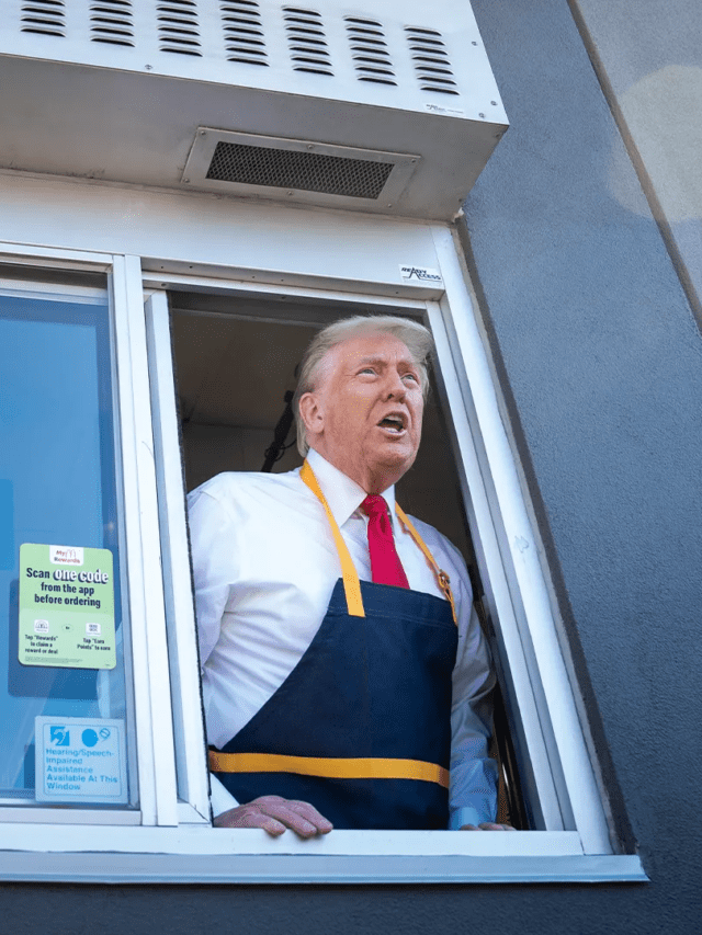 “7 Hilarious Facts About Trump  donald trump funny